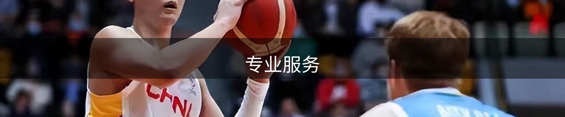 专业服务