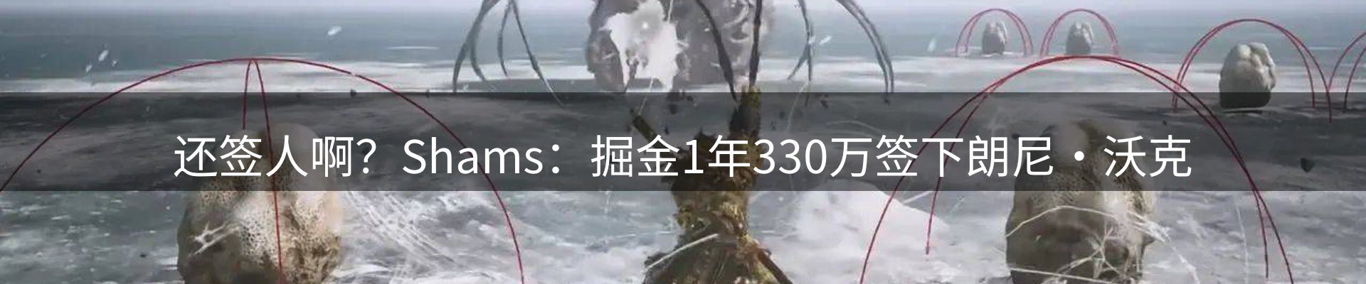 网站资讯
