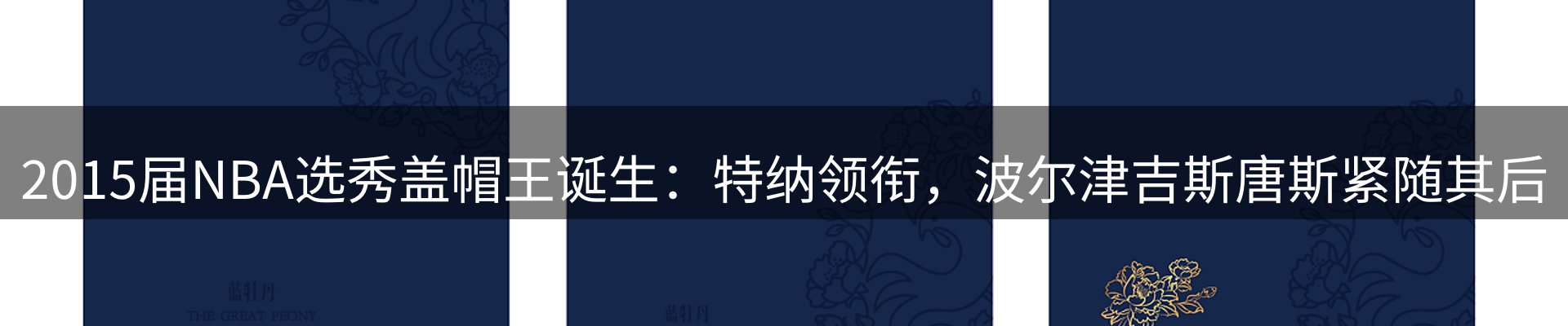 网站资讯